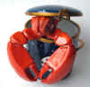 lobster1.jpg (28134 oCg)