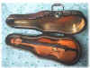 violin04.jpg (11310 oCg)
